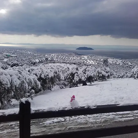 Oreiades Guesthouse Гостевой дом